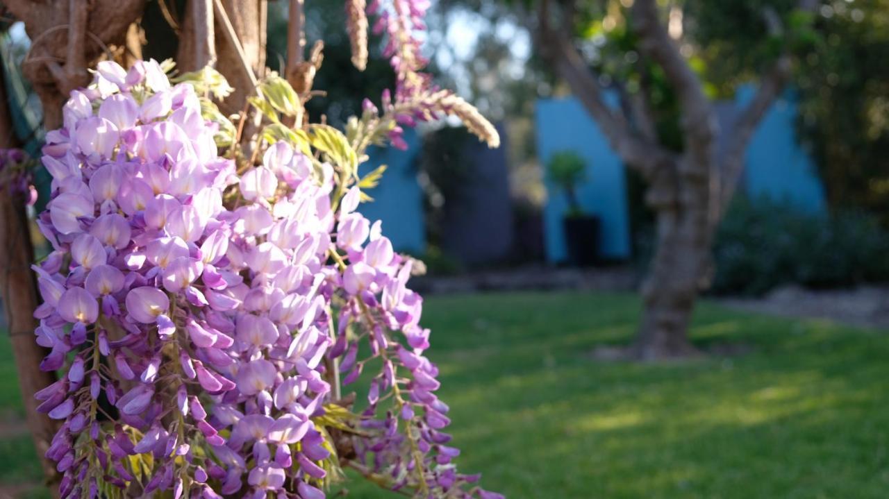 Loddon River Motel Kerang 외부 사진